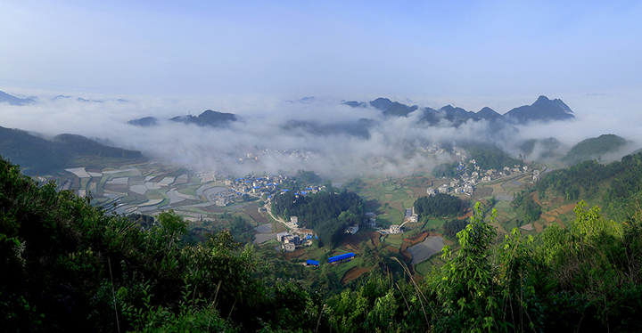 《川硐新農(nóng)村》